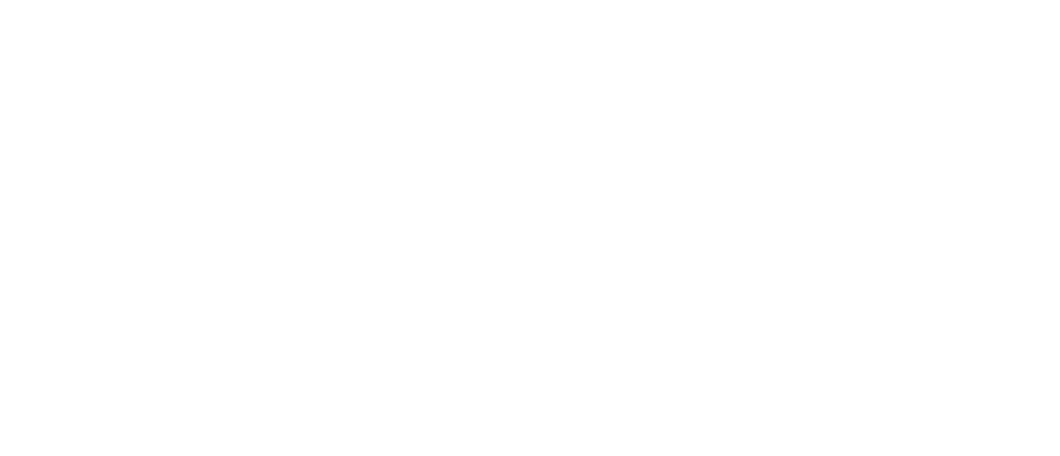 Remote Guardian logo